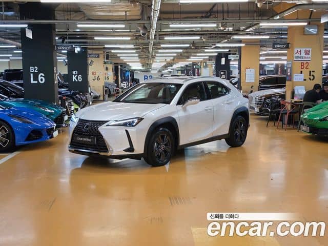 Lexus UX300h