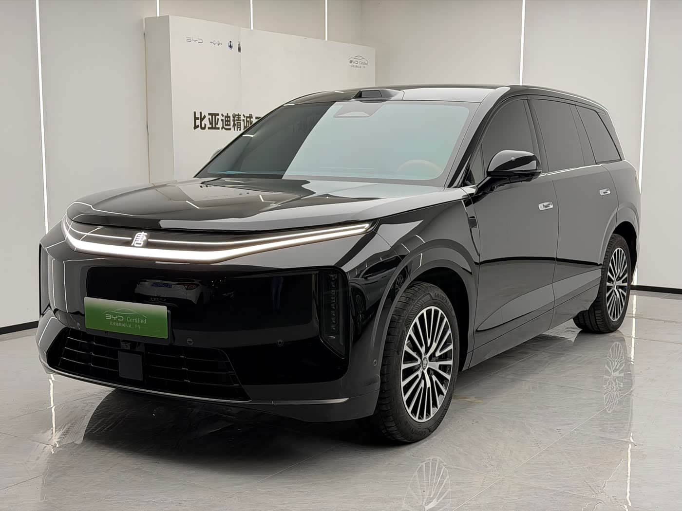 BYD Dynasty-D