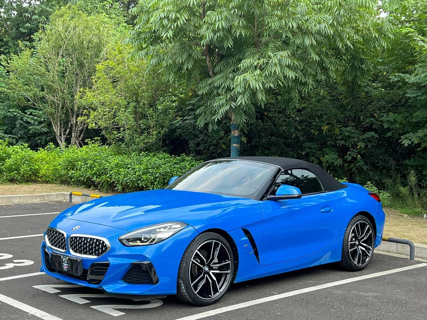 BMW Z4