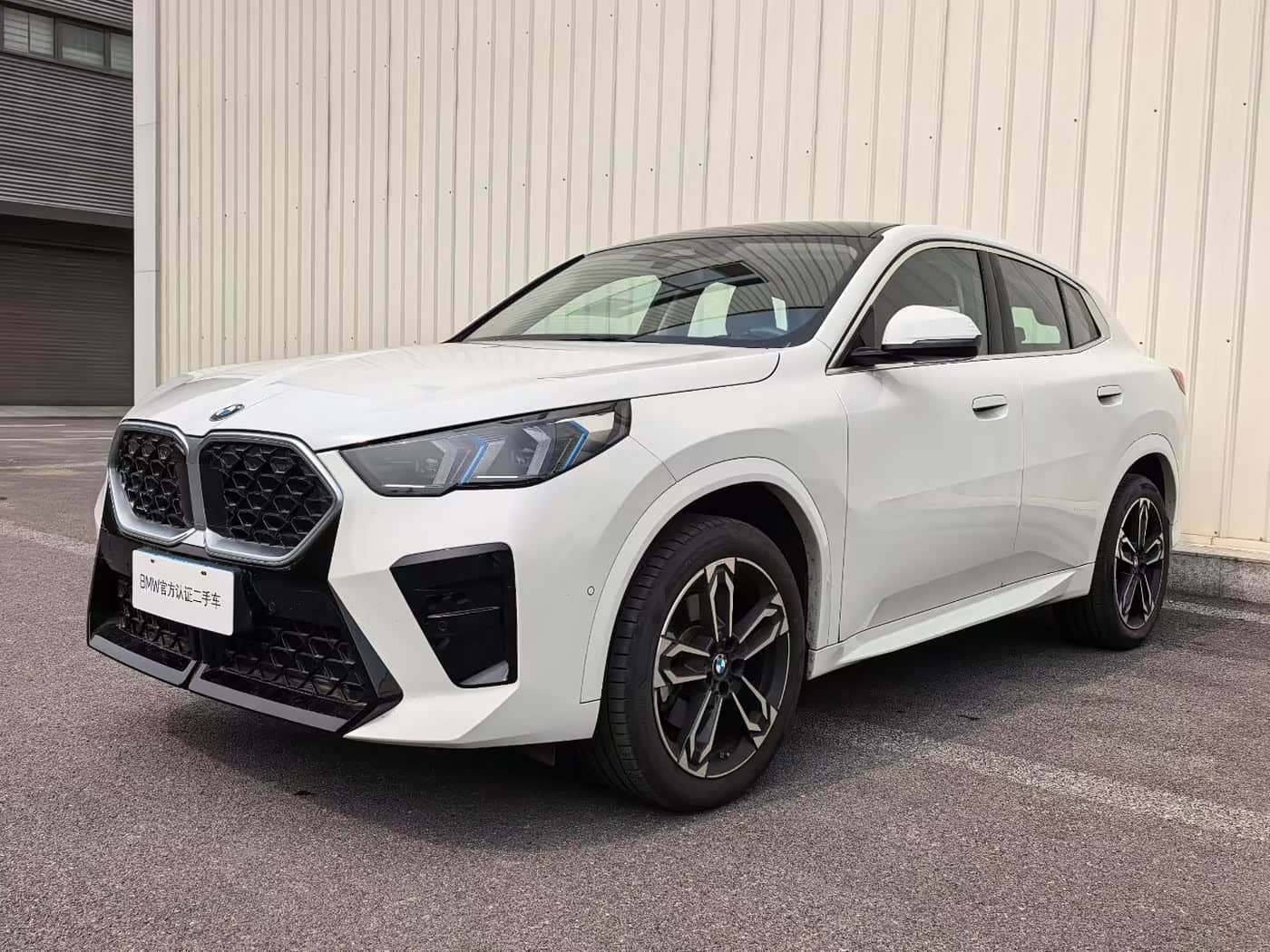BMW X2