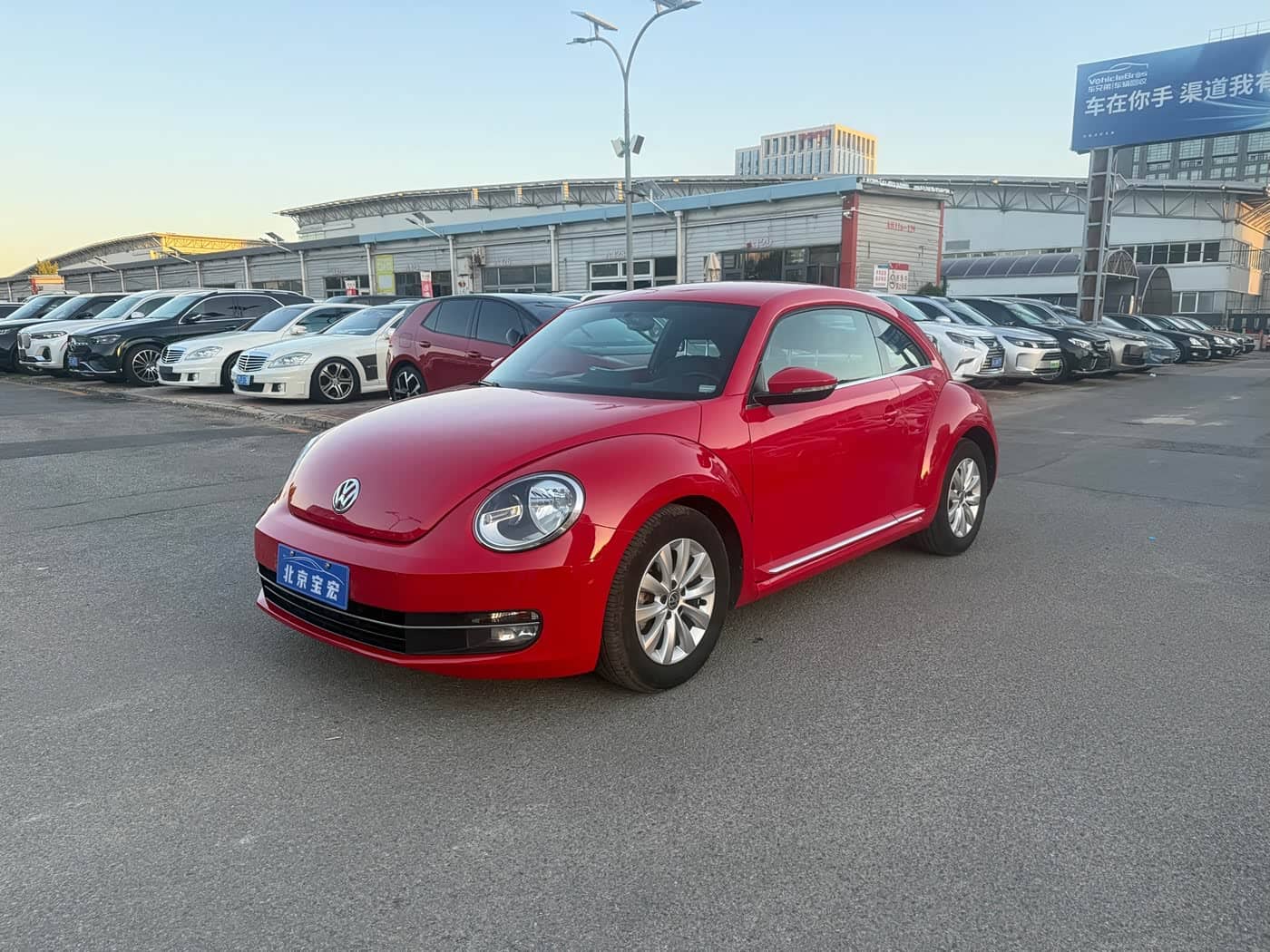 Volkswagen Beetle