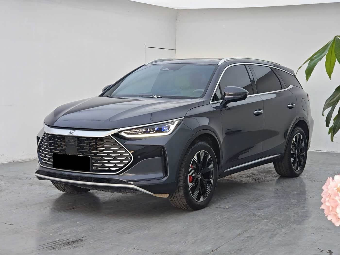 BYD Tang New Energy