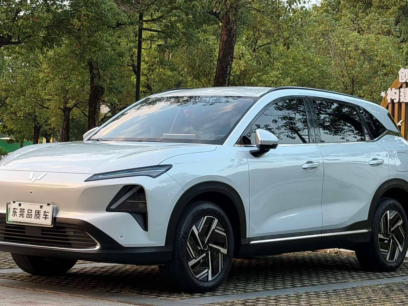 Wuling Motors Wuling Xingguang S