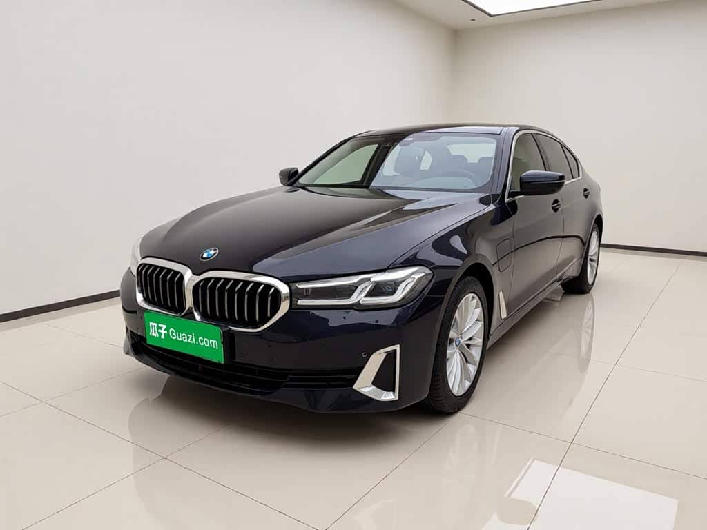 BMW 5 Series New Energy