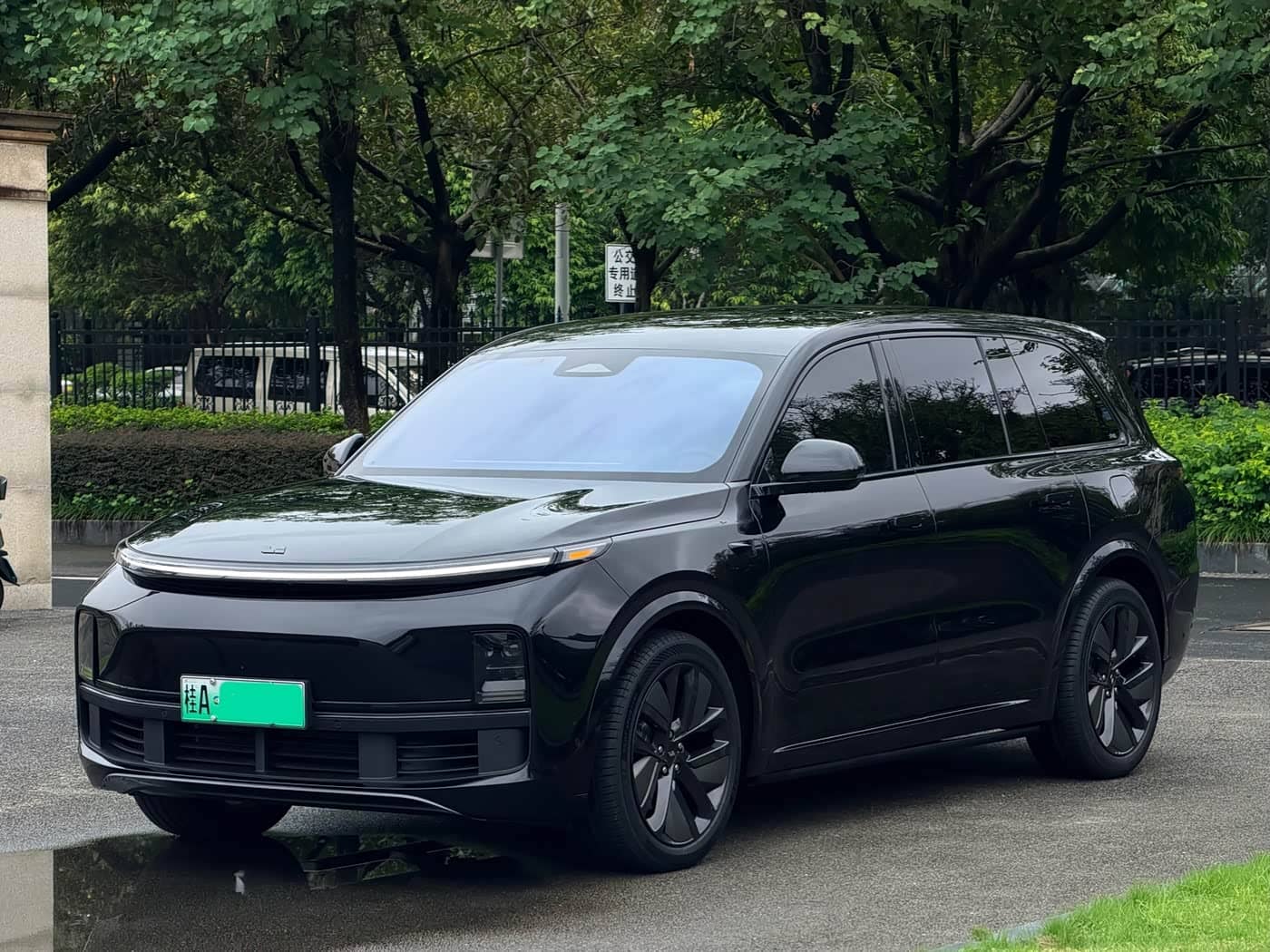 Li Auto Li Xiang L9