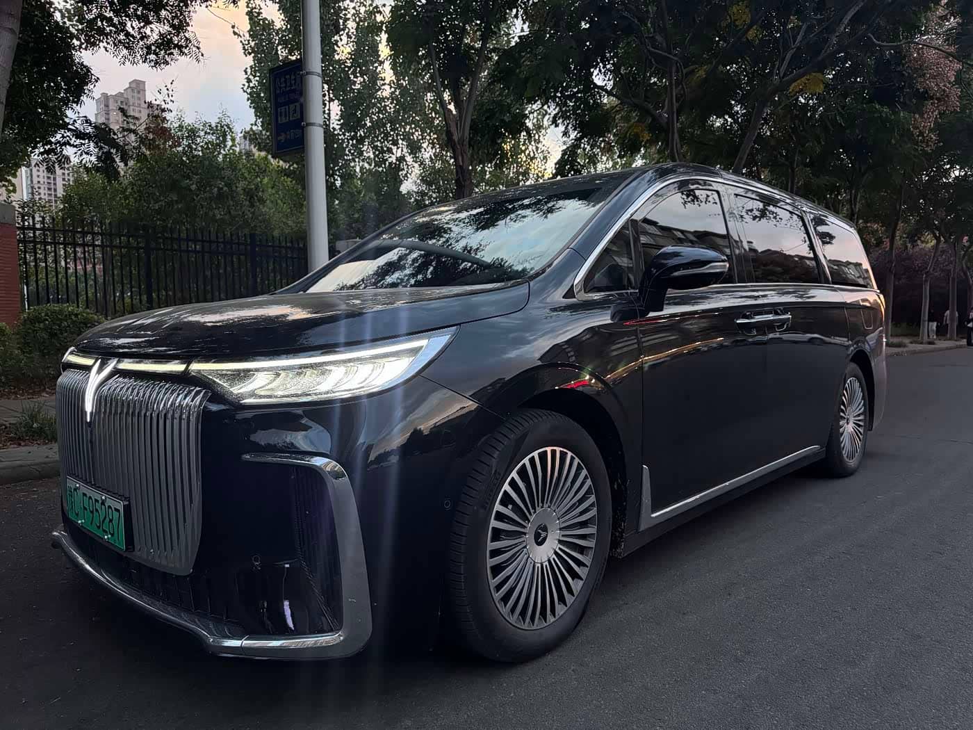 Voyah Auto Voyah Dreamer