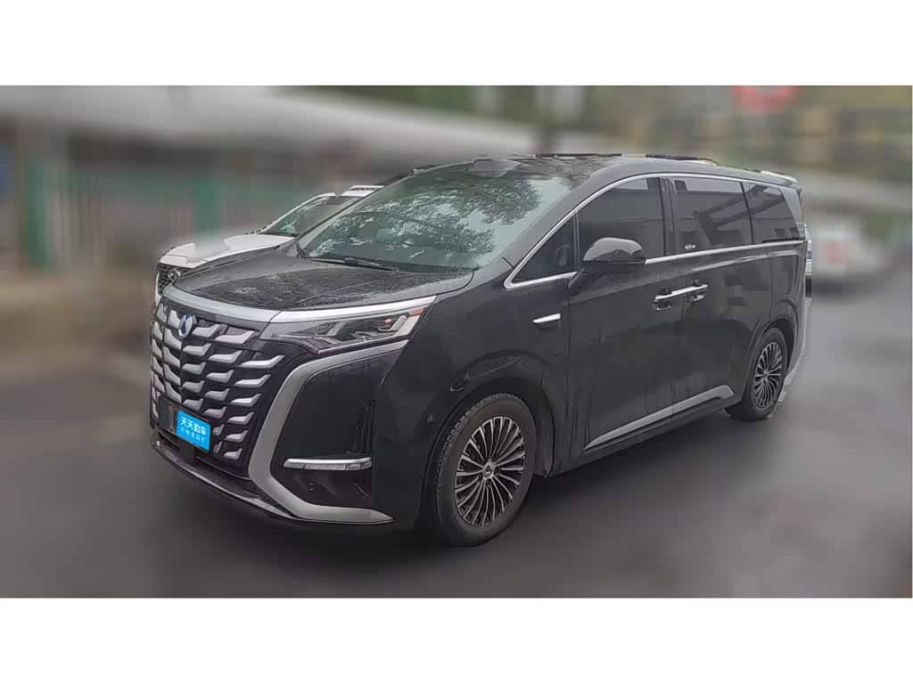 Denza D9