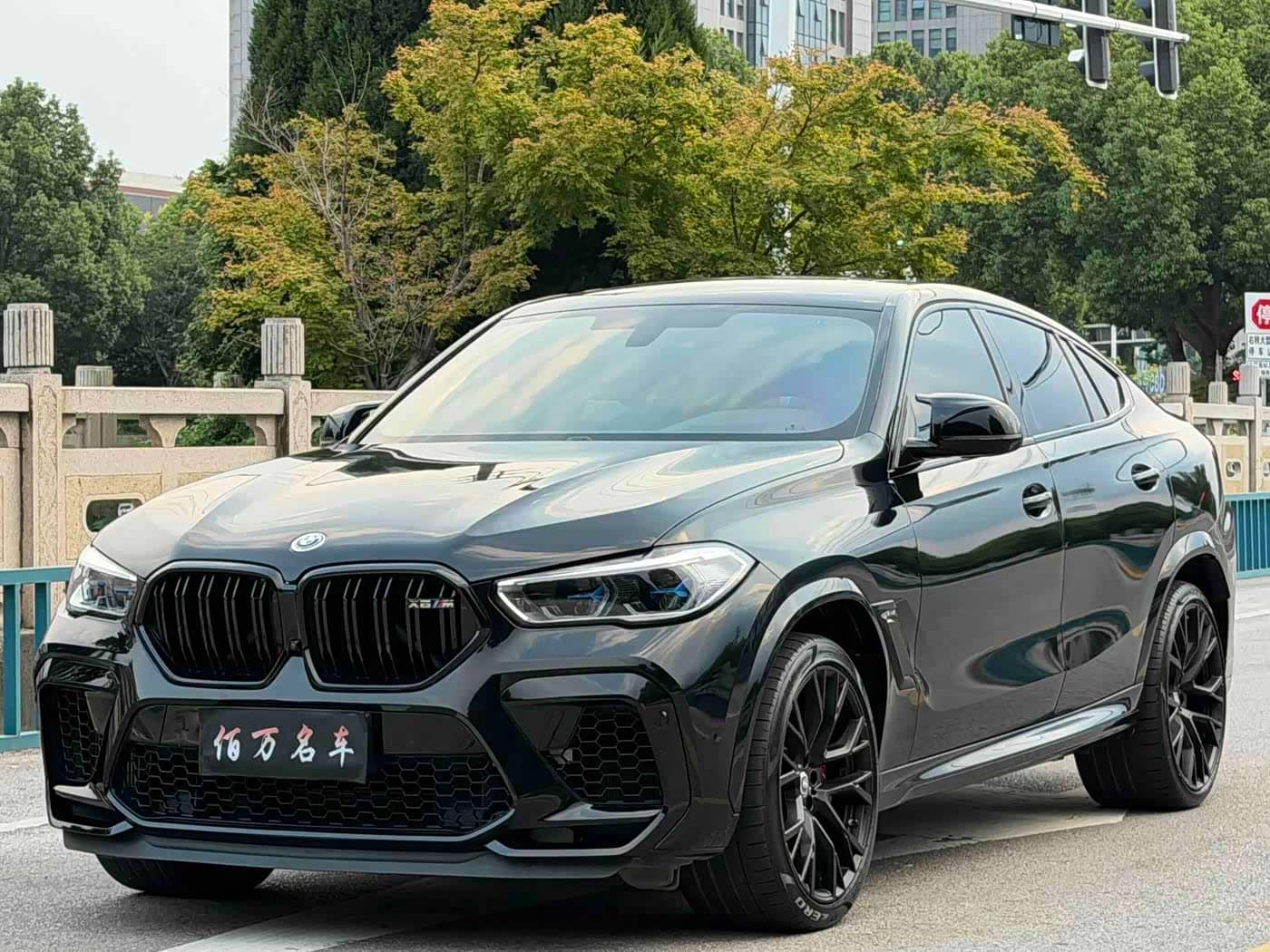 BMW X6 M