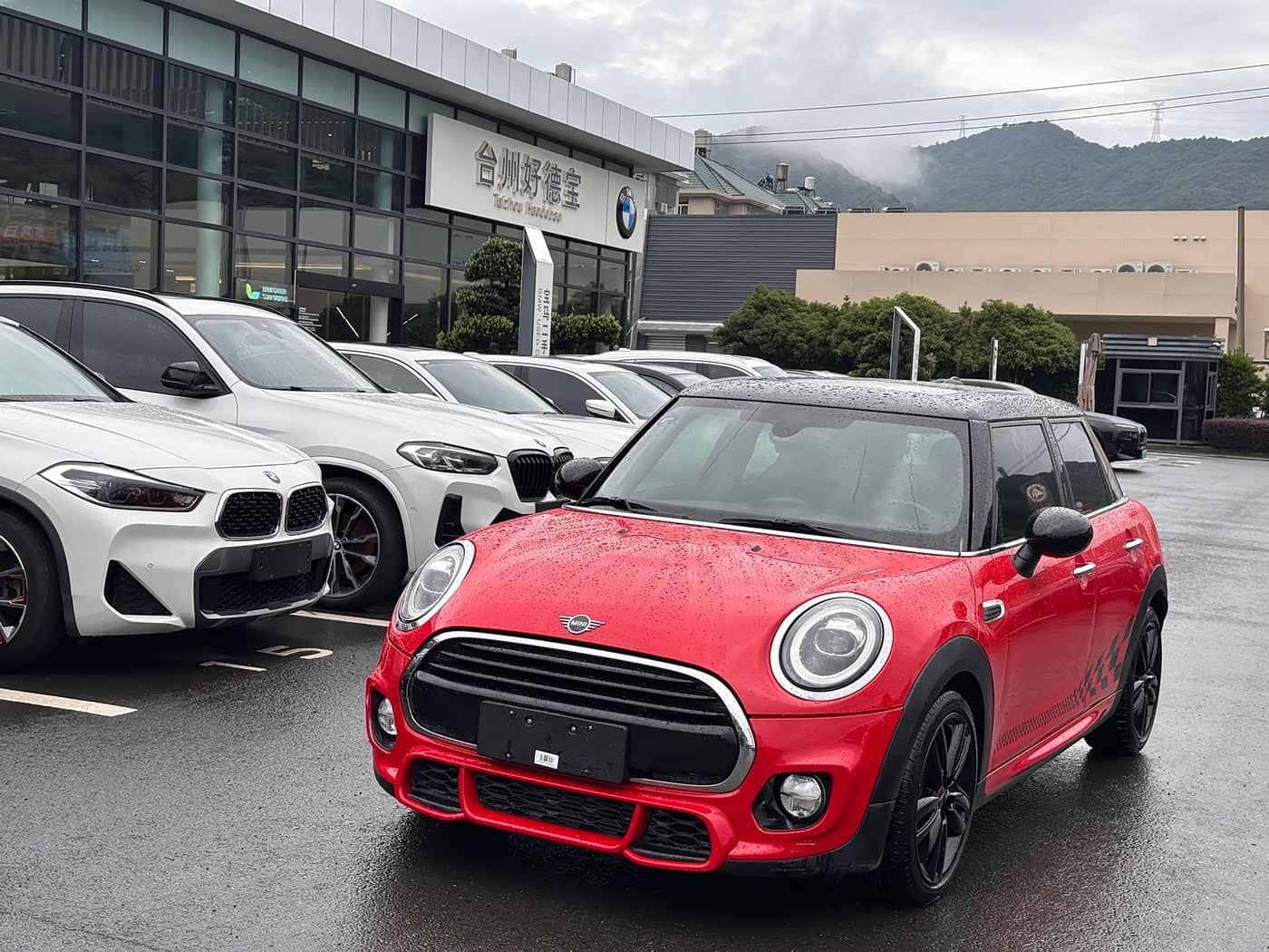 MINI MINI