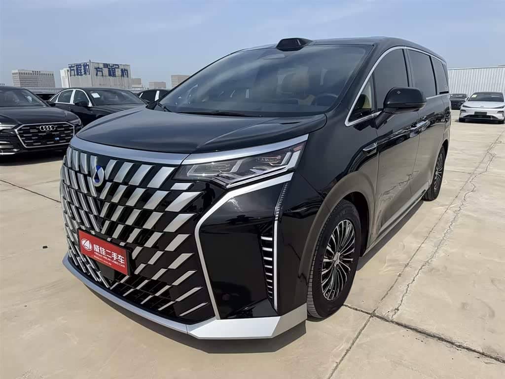 Denza D9