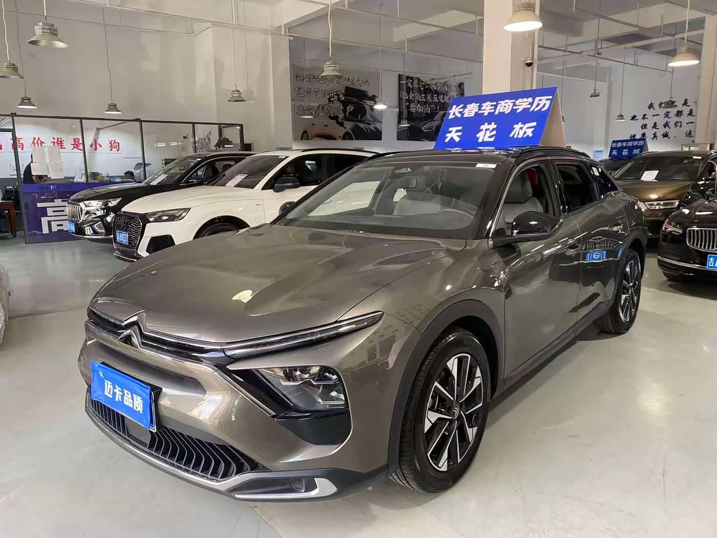 Citroën Versailles C5 X