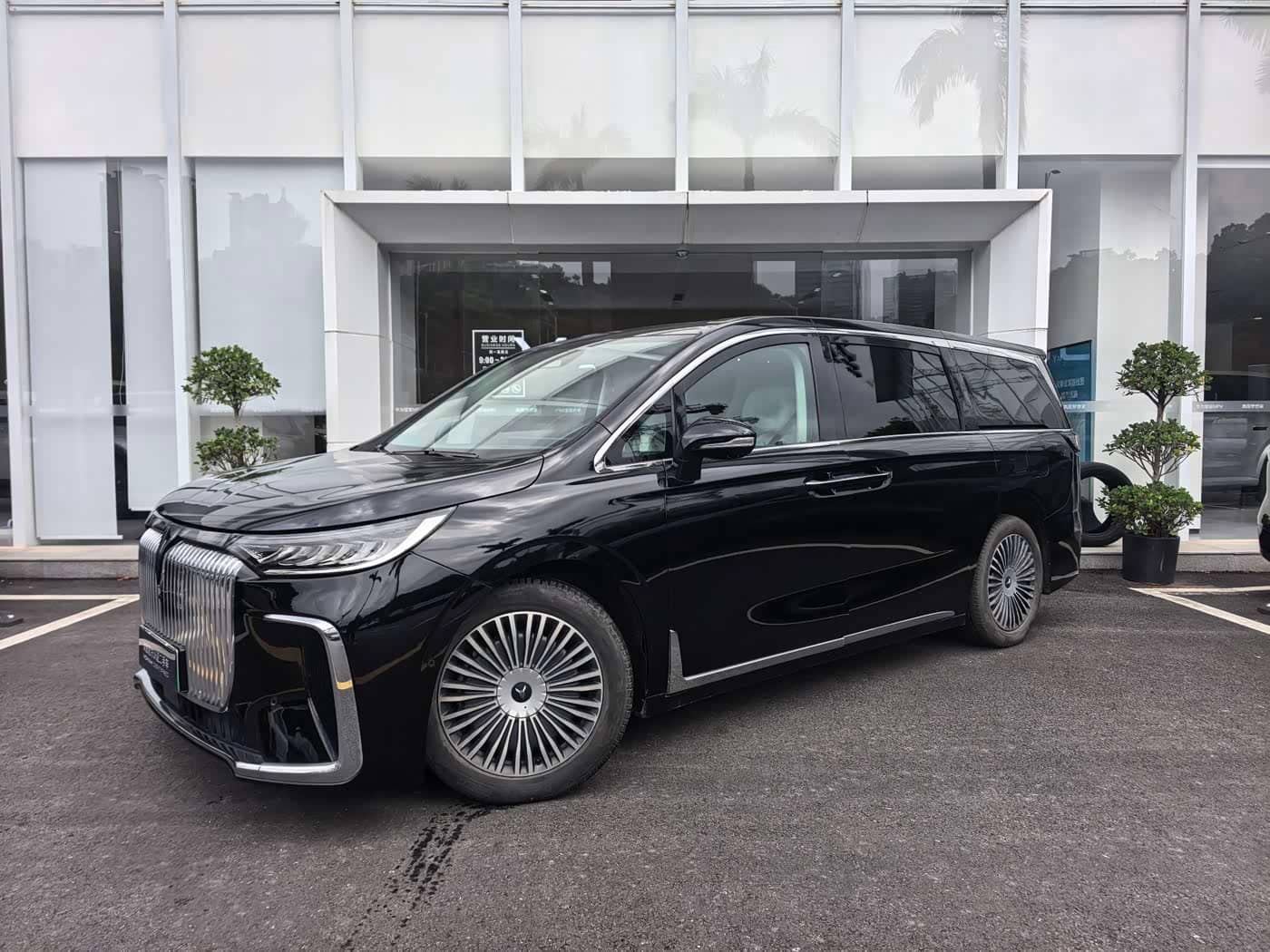 Voyah Auto Voyah Dreamer