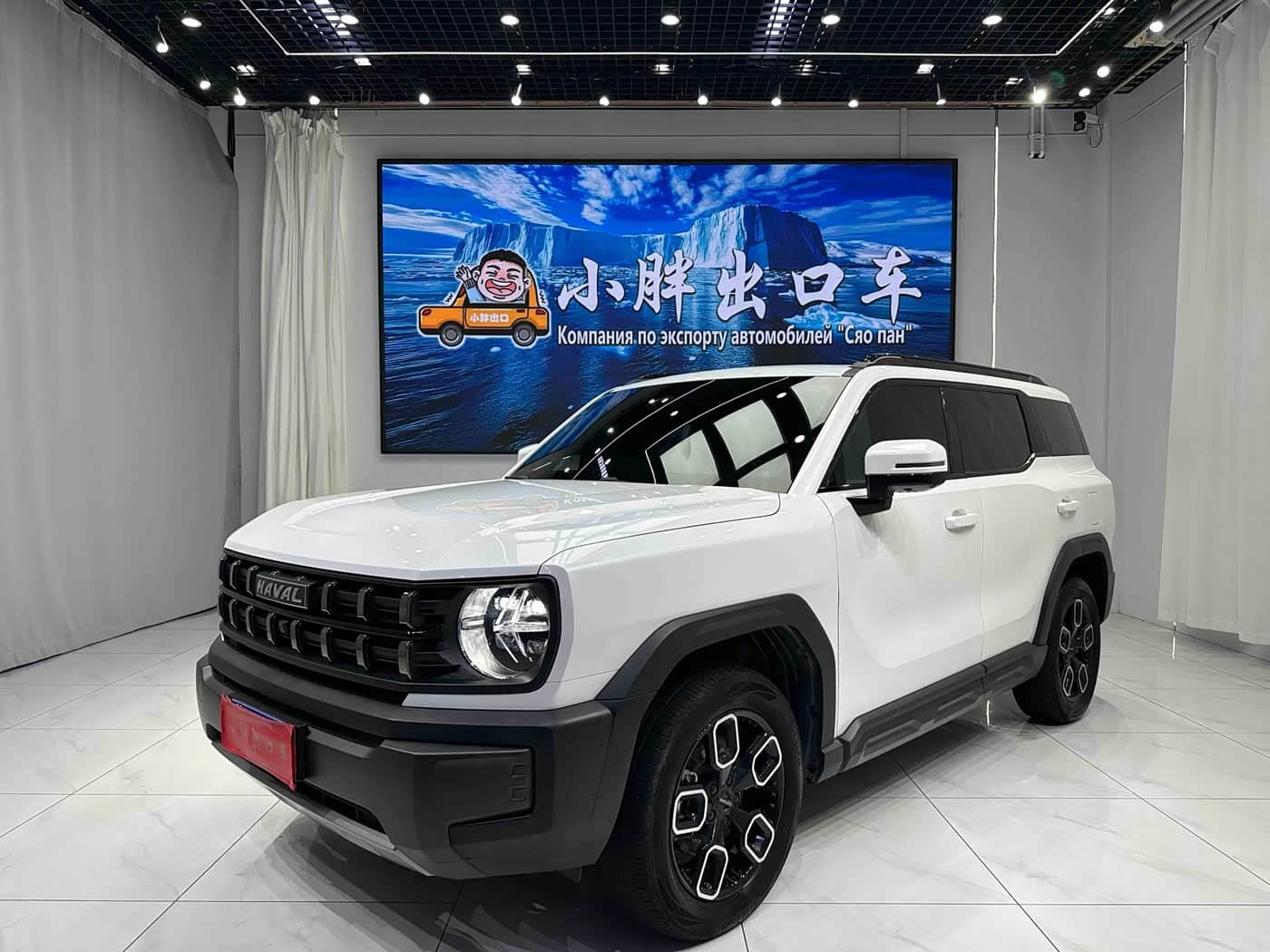 Haval Cool Dog