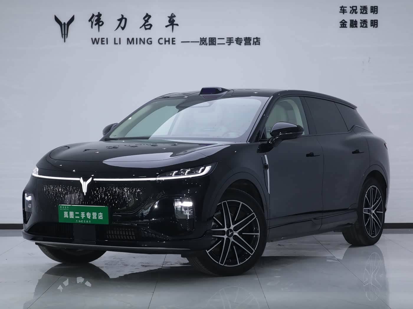 Voyah Auto Voyah Zhiyin