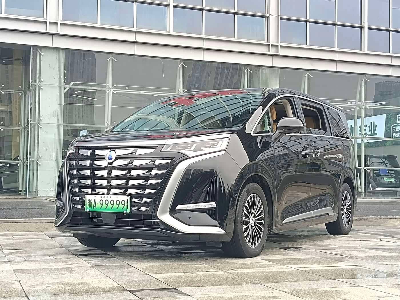 Denza D9