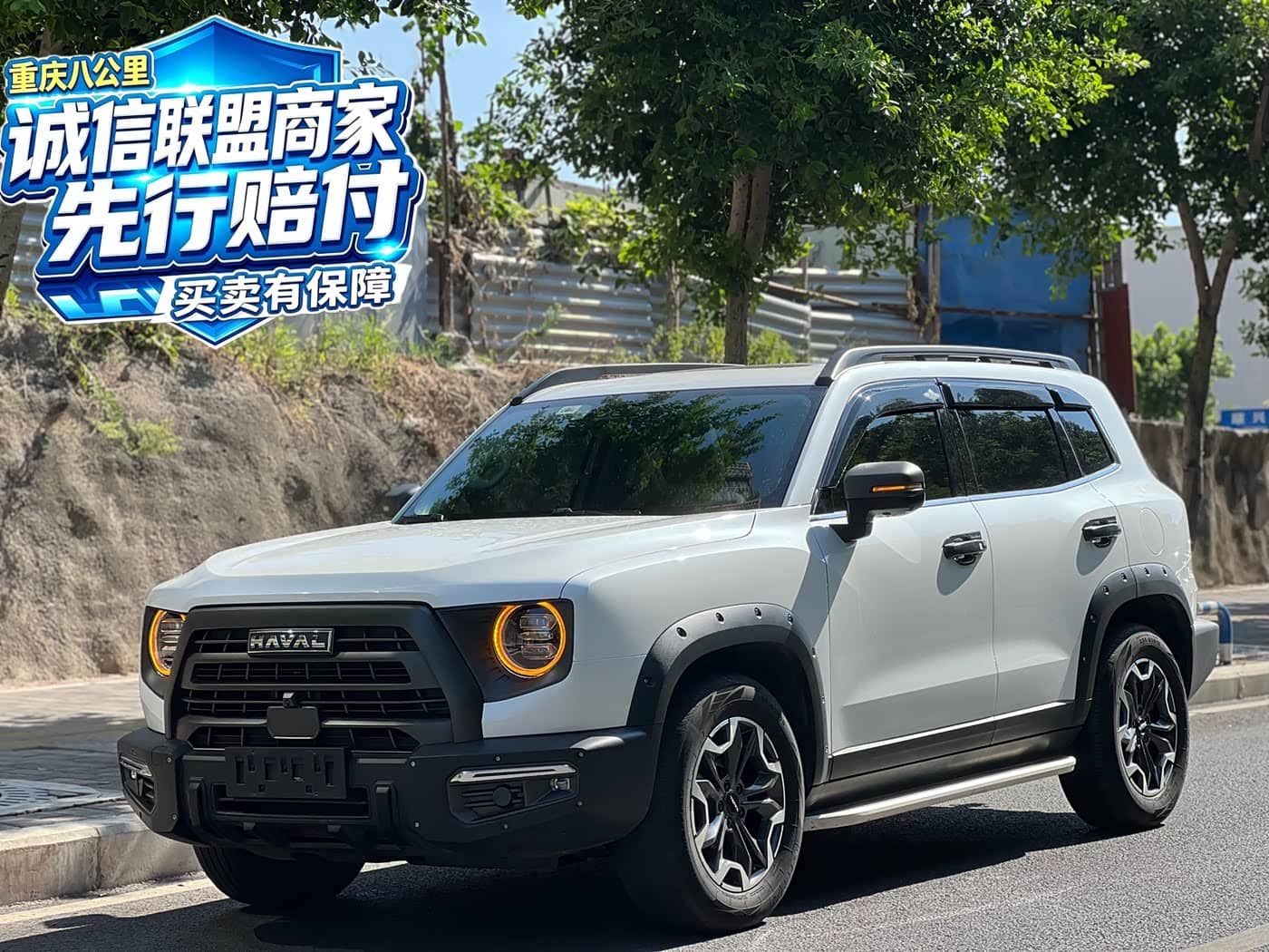 Haval Big Dog