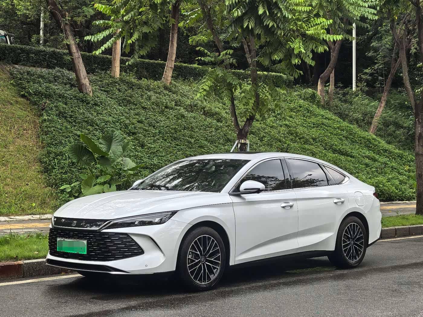 BYD Qin L