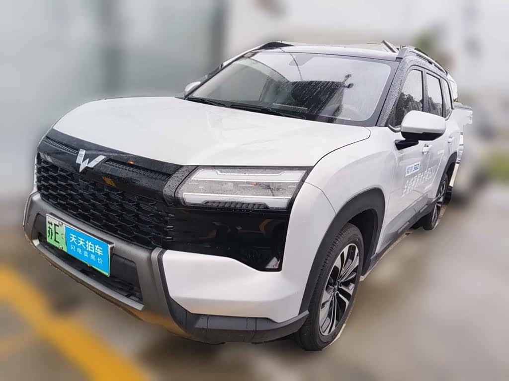 Wuling Motors Starlight 560 NEV