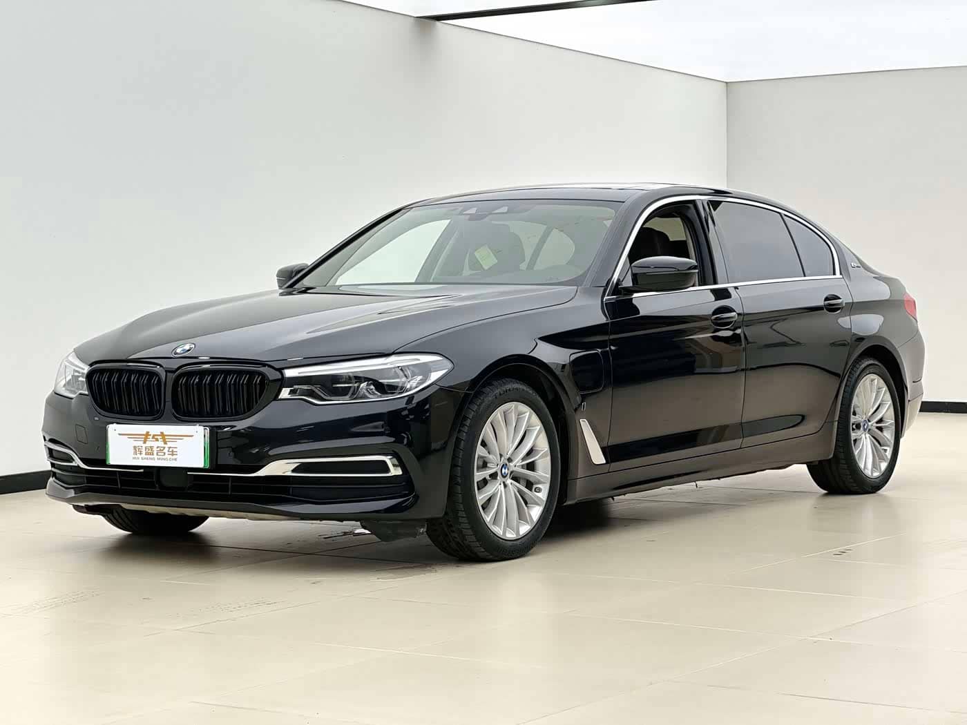 BMW 5 Series New Energy