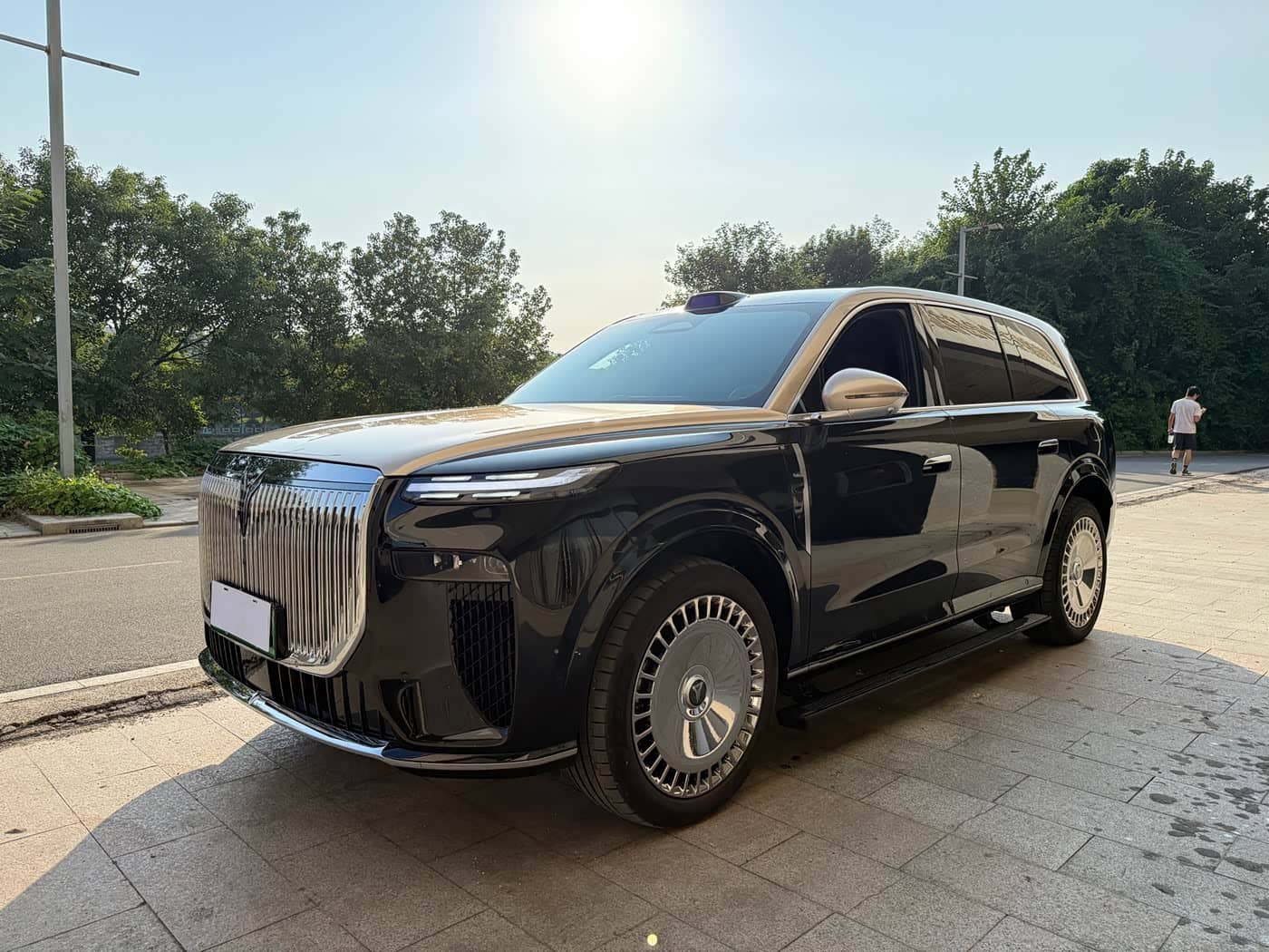 Voyah Auto VOYAH Taisan