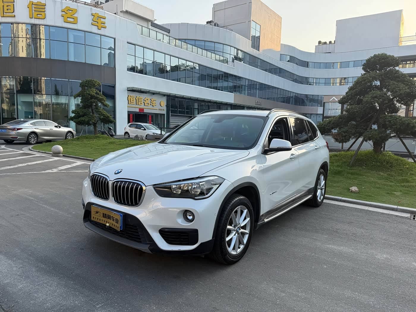 BMW X1
