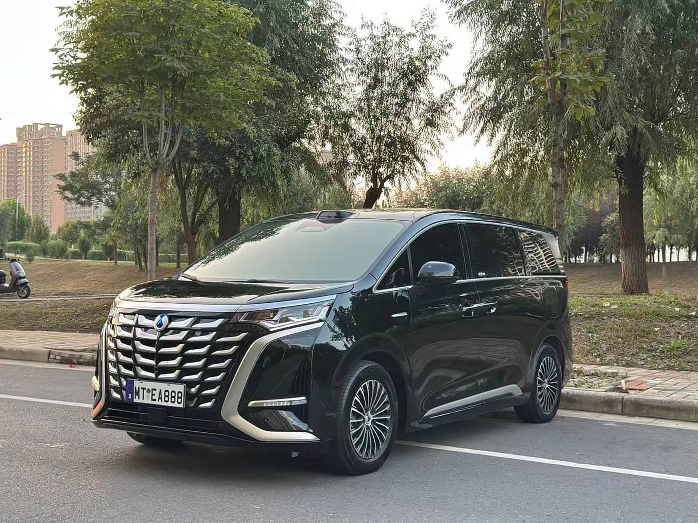 Denza D9