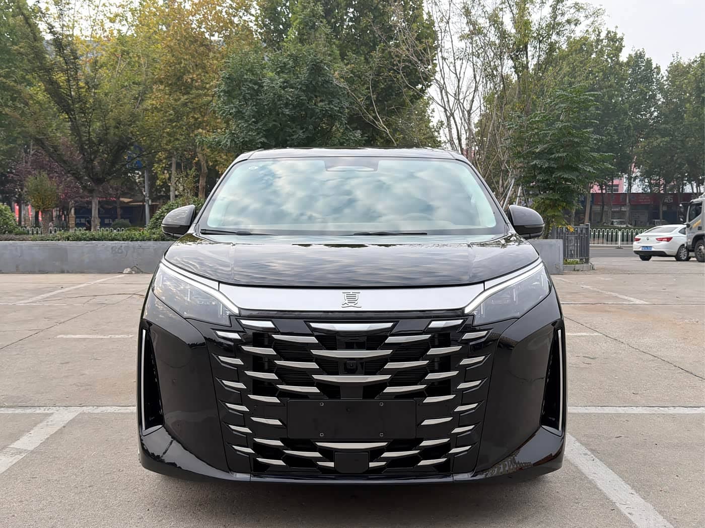BYD Xia