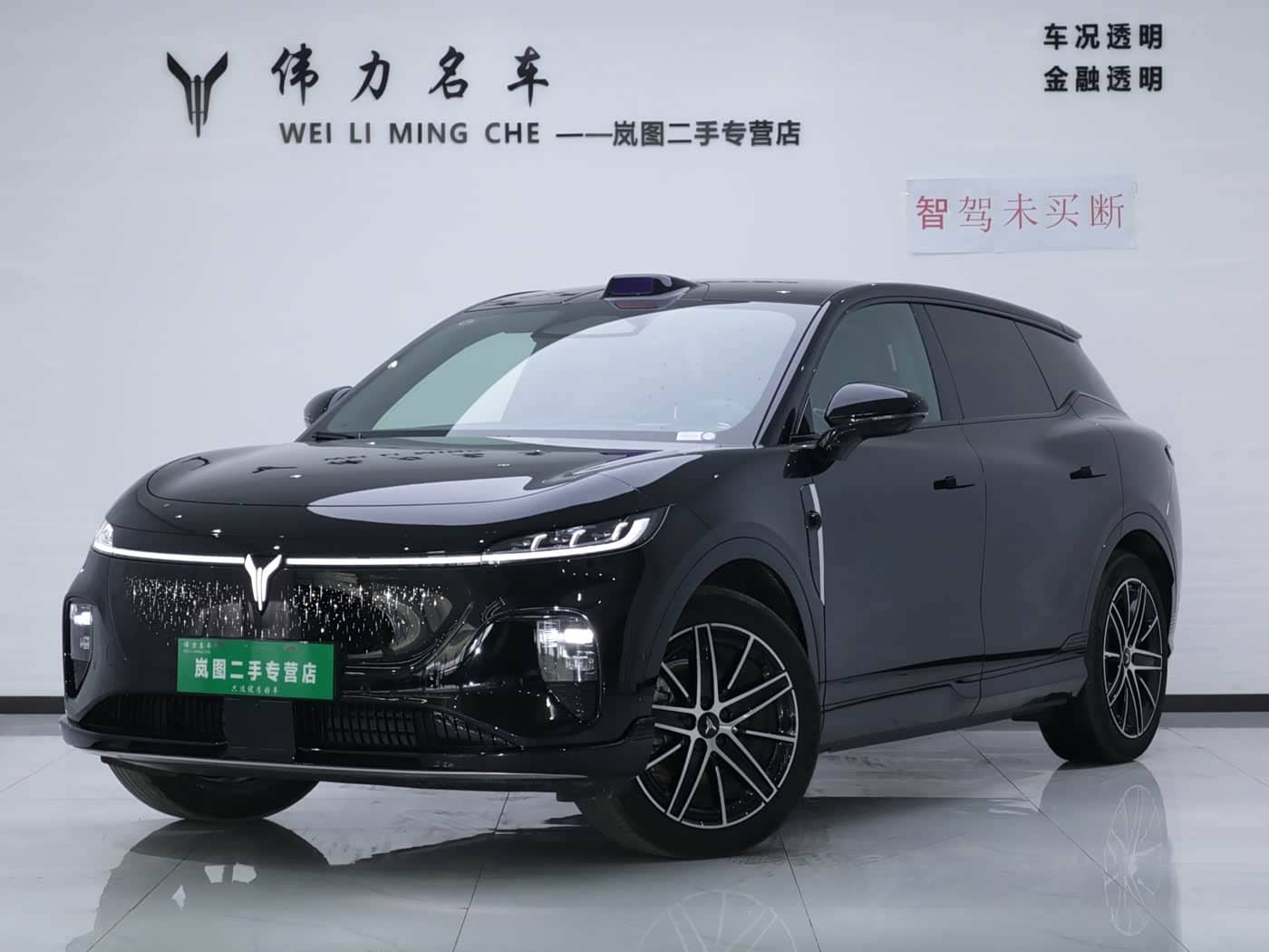 Voyah Auto Voyah Zhiyin