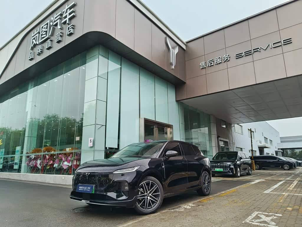 Voyah Auto Voyah Zhiyin