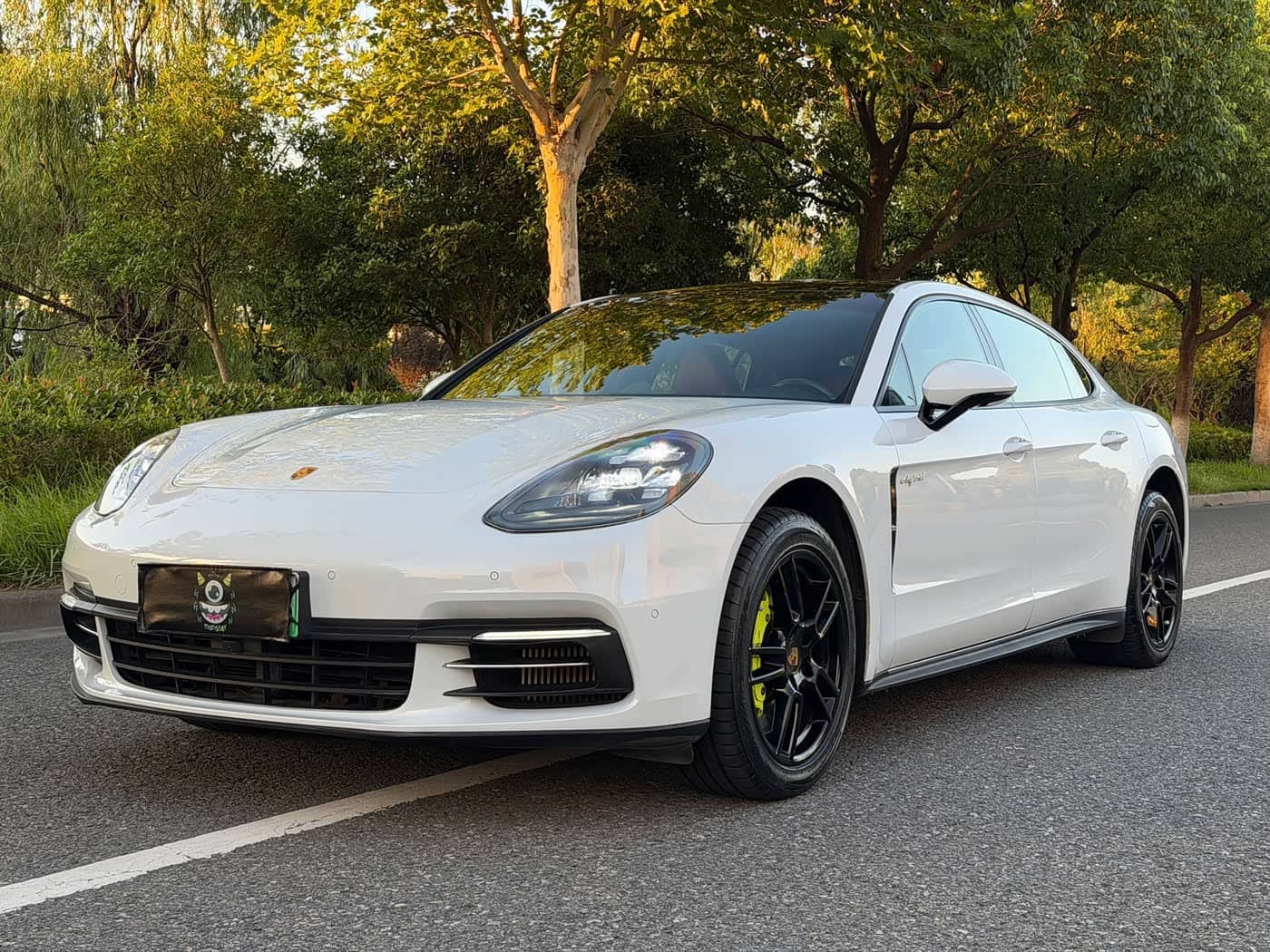 Porsche Panamera New Energy