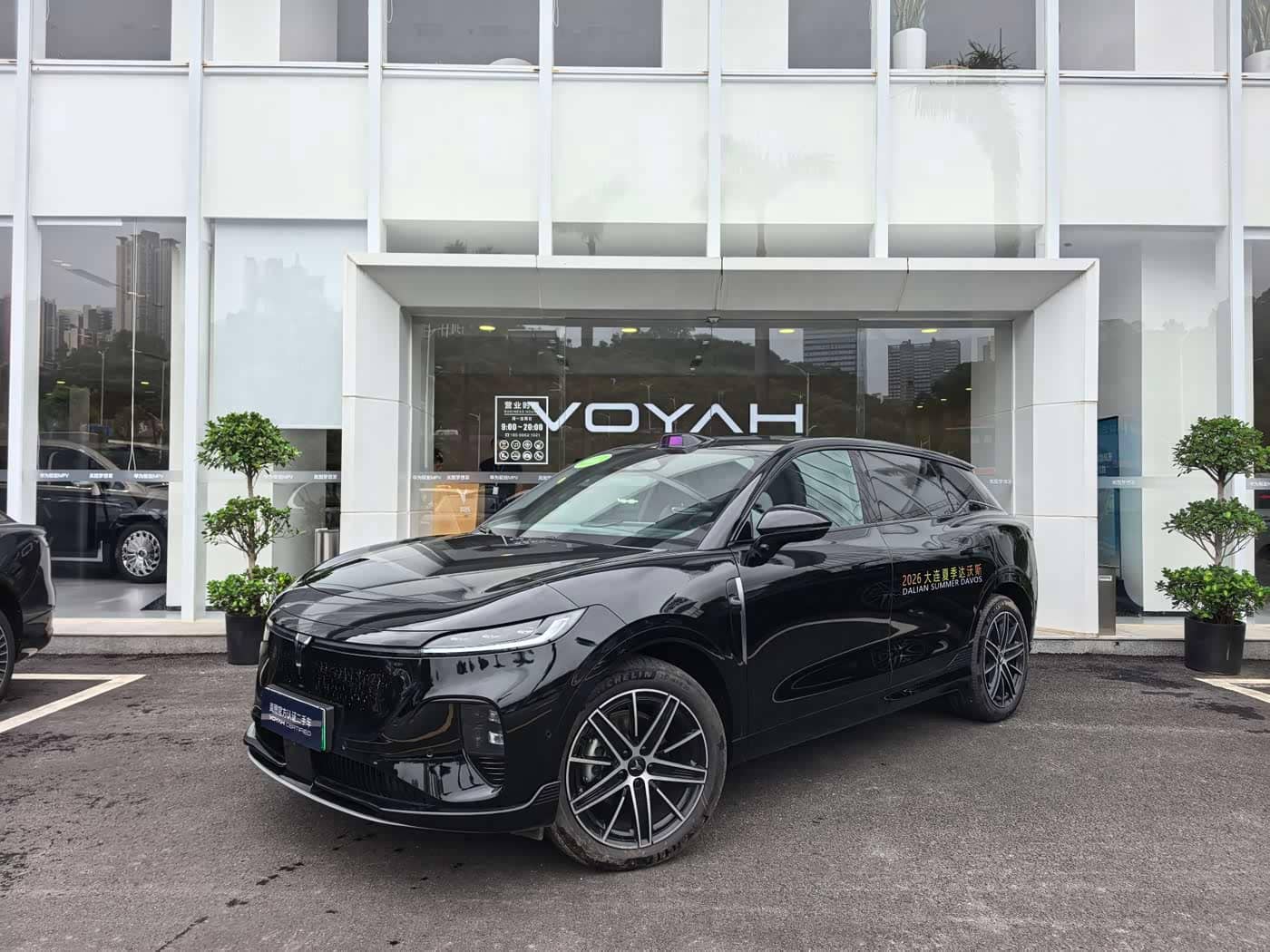Voyah Auto Voyah Zhiyin