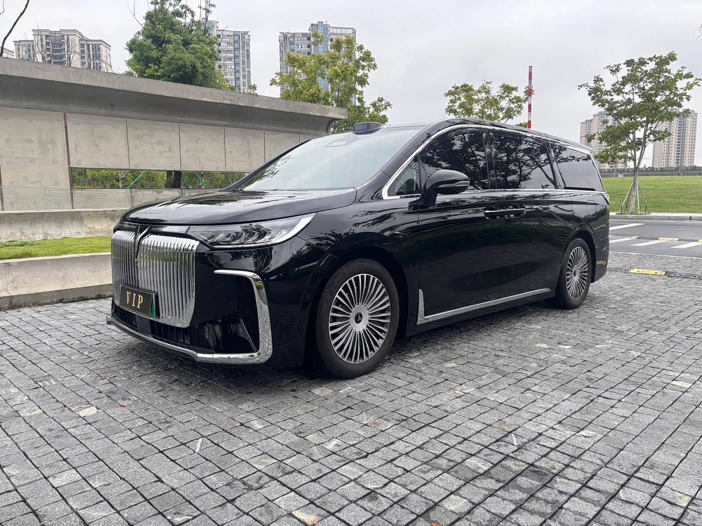 Voyah Auto Voyah Dreamer
