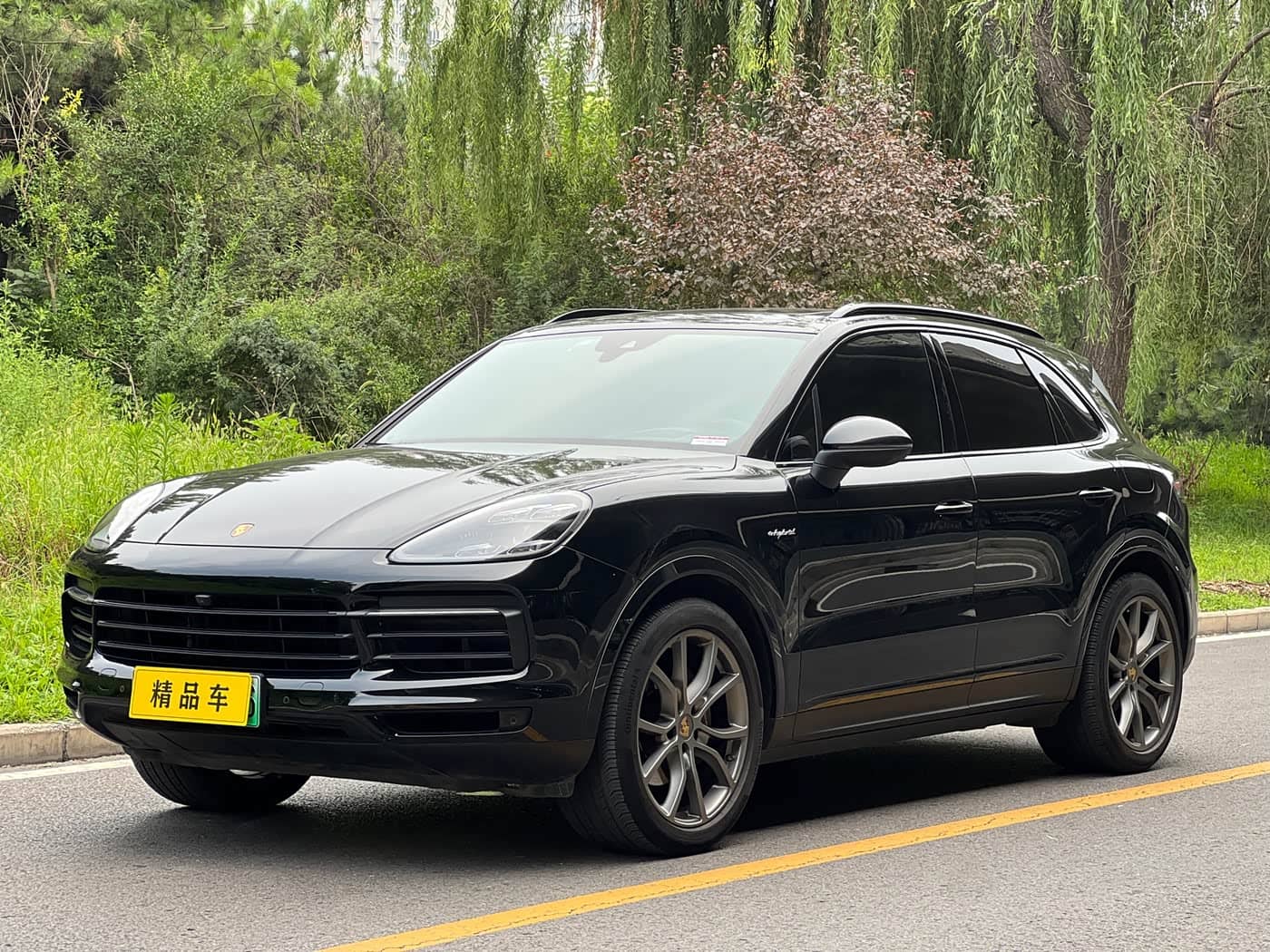 Porsche Cayenne New Energy