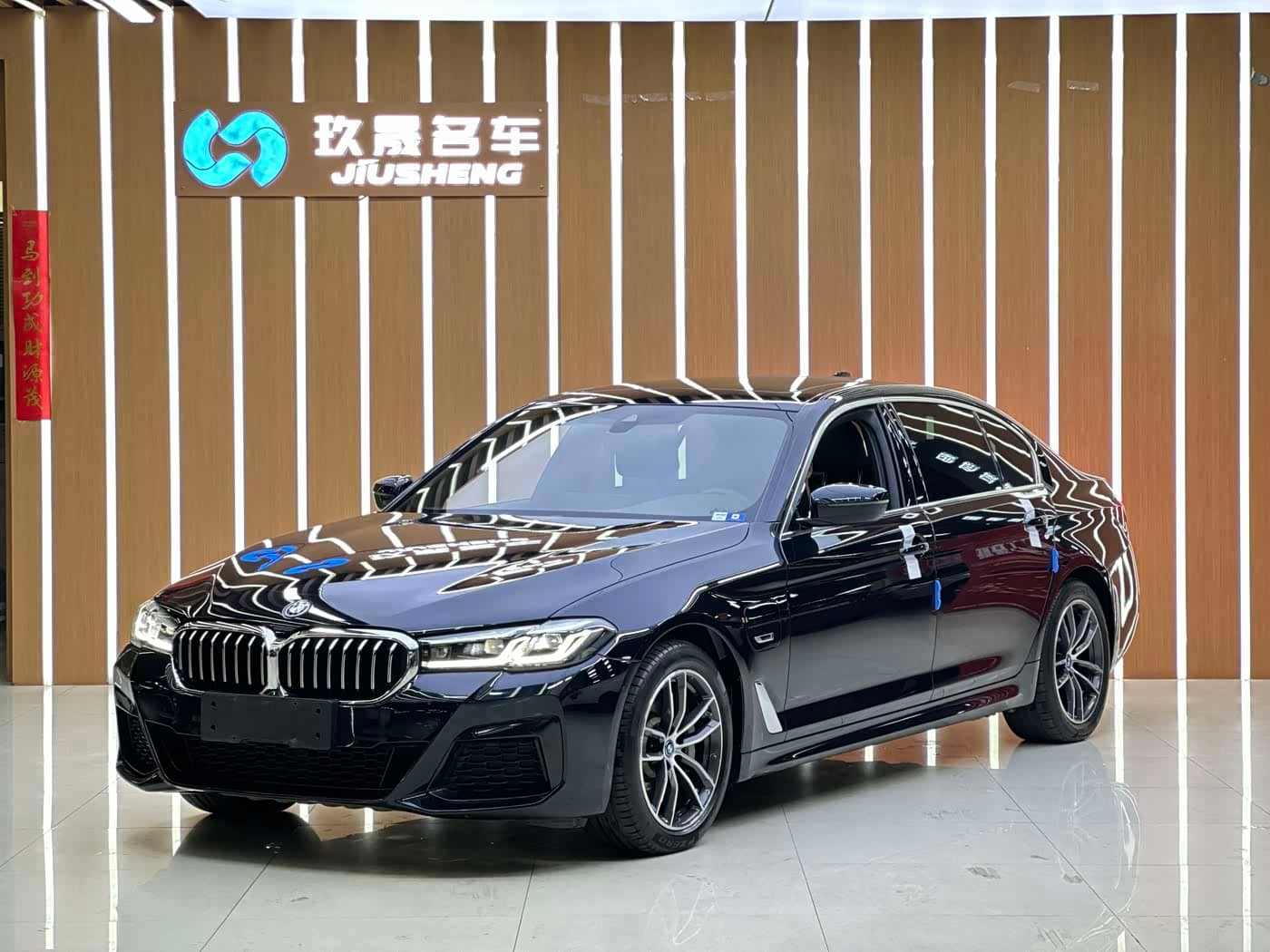 BMW 5 Series New Energy