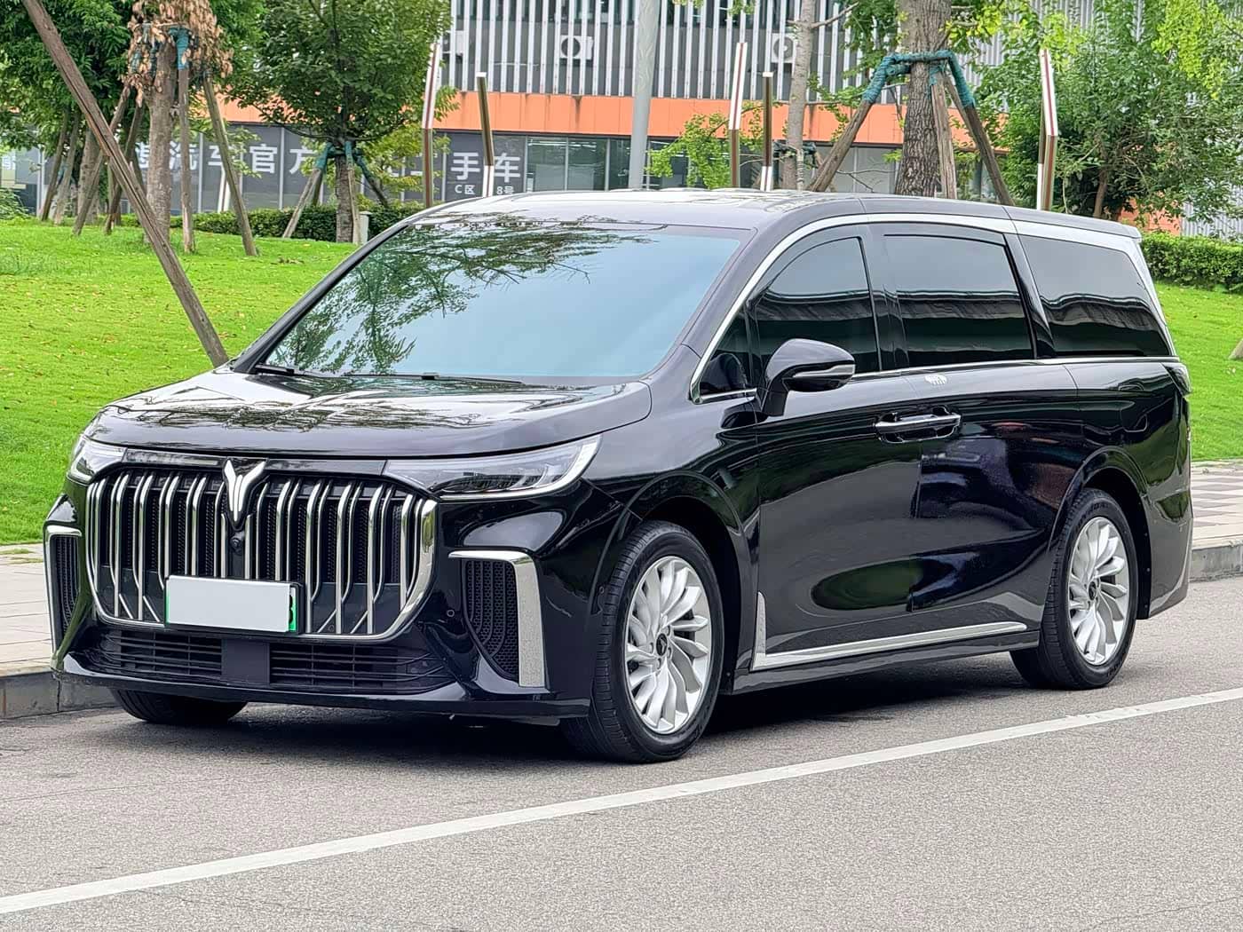 Voyah Auto Voyah Dreamer