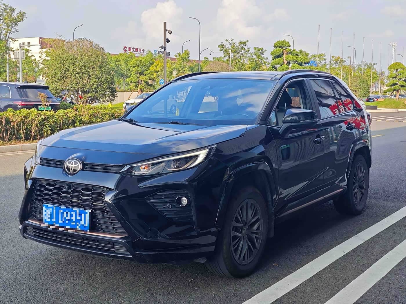 Toyota Wildlander