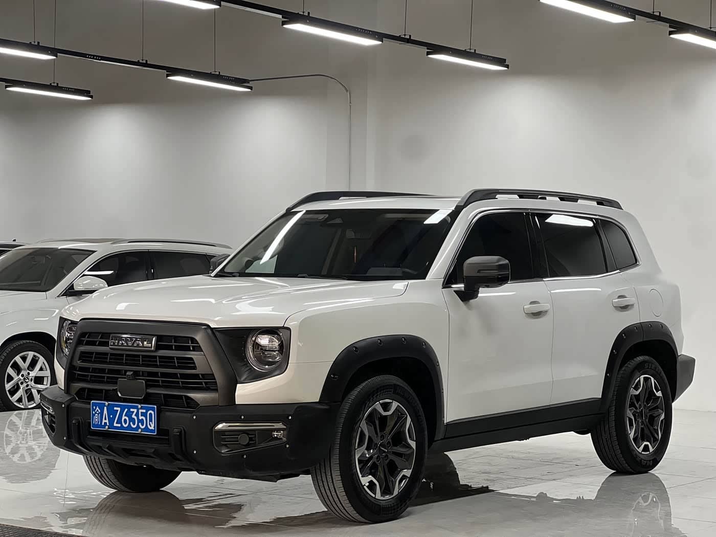 Haval Big Dog