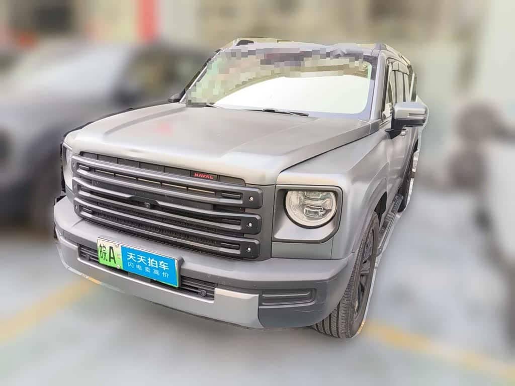 Haval Meng Long NEV