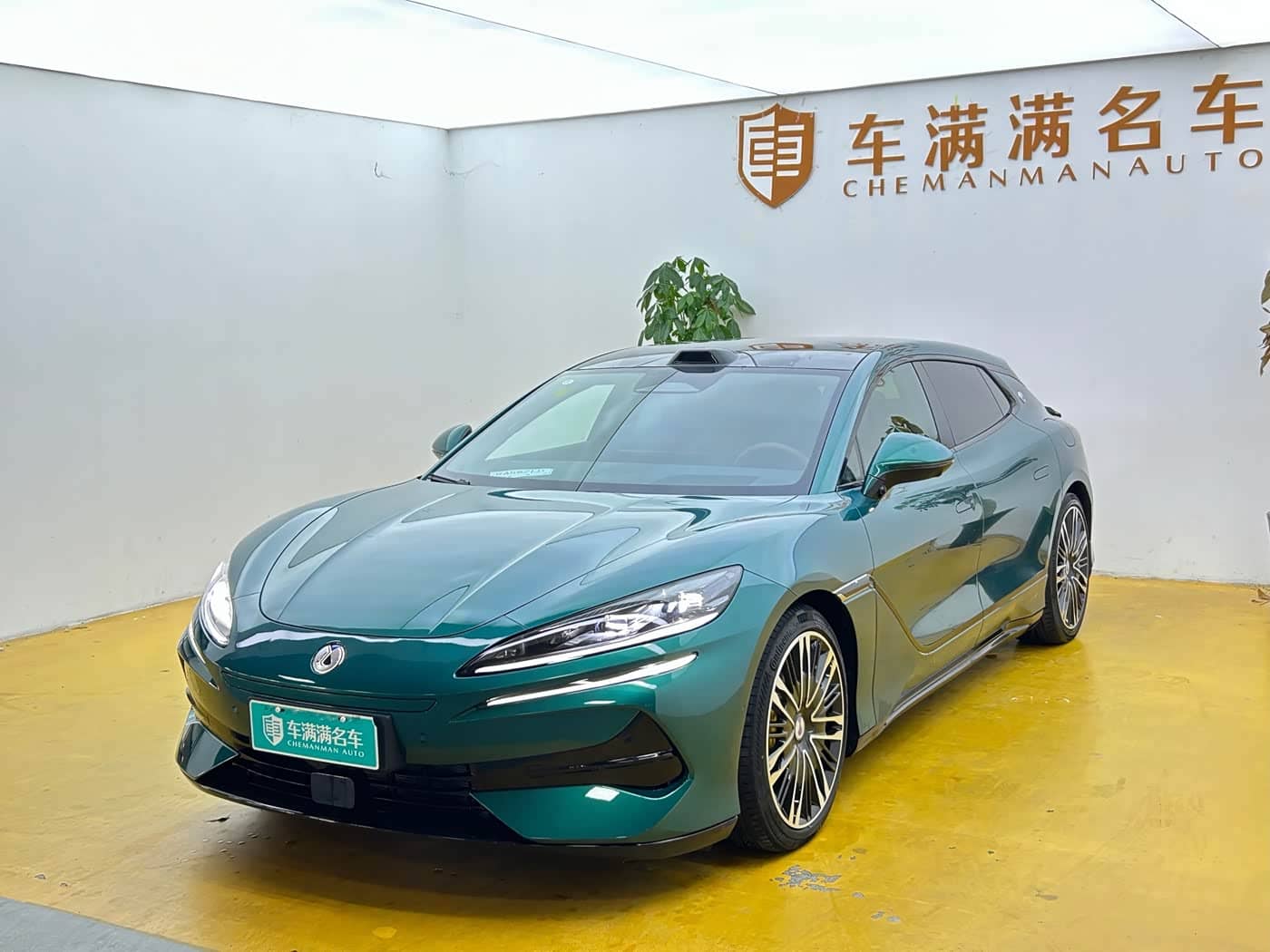 Denza Z9GT
