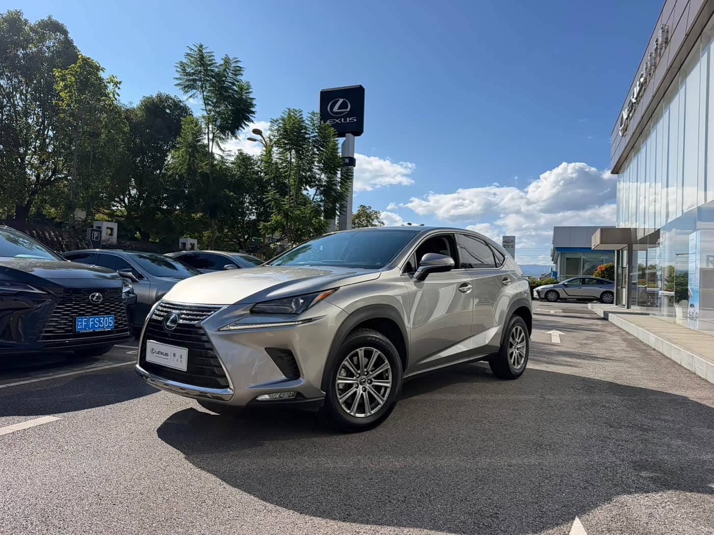 Lexus NX