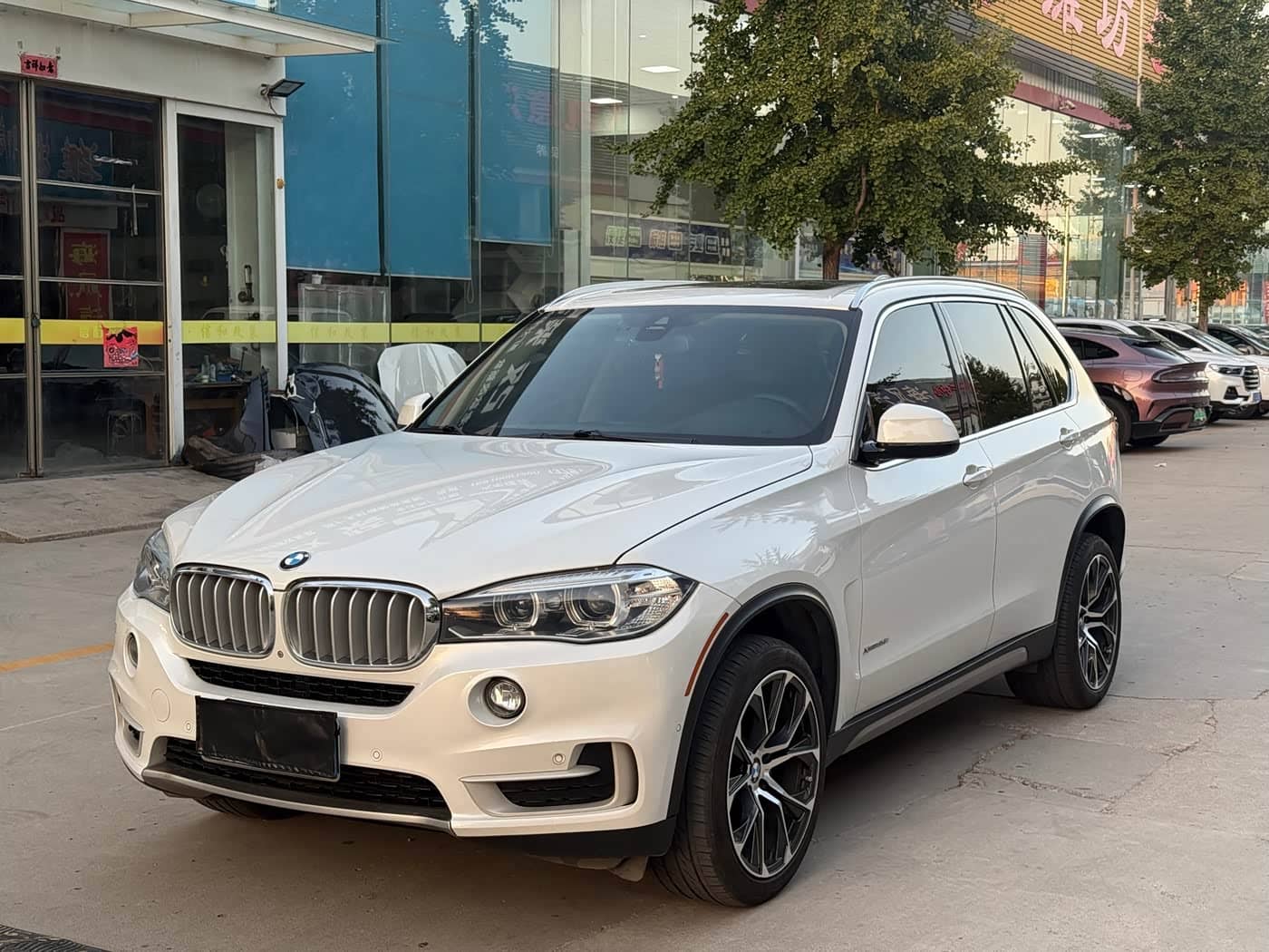 BMW X5