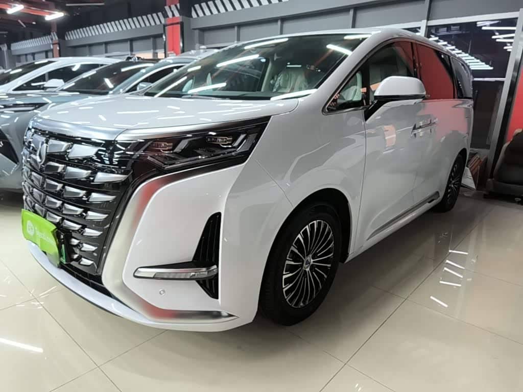 Denza D9