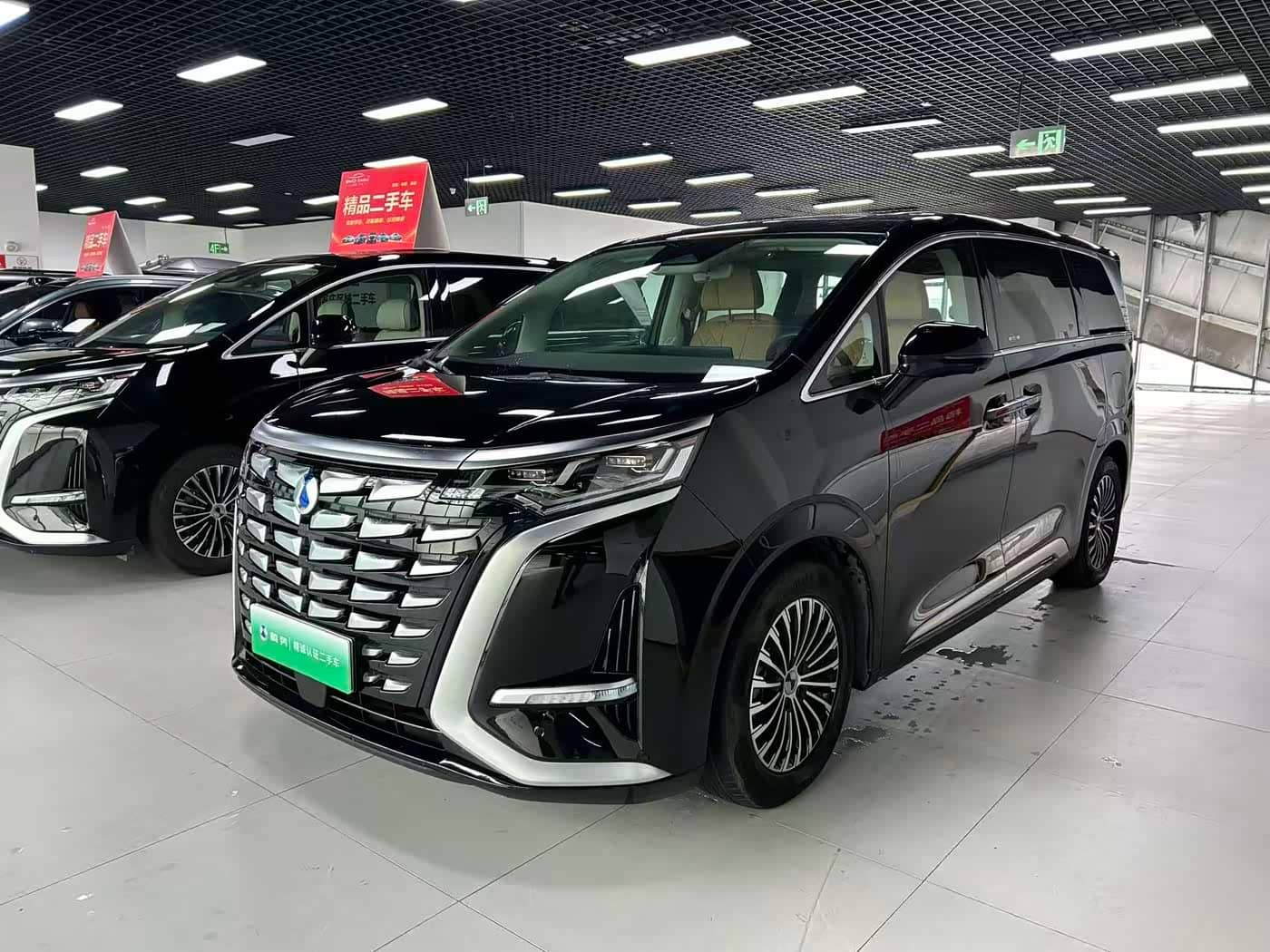 Denza D9