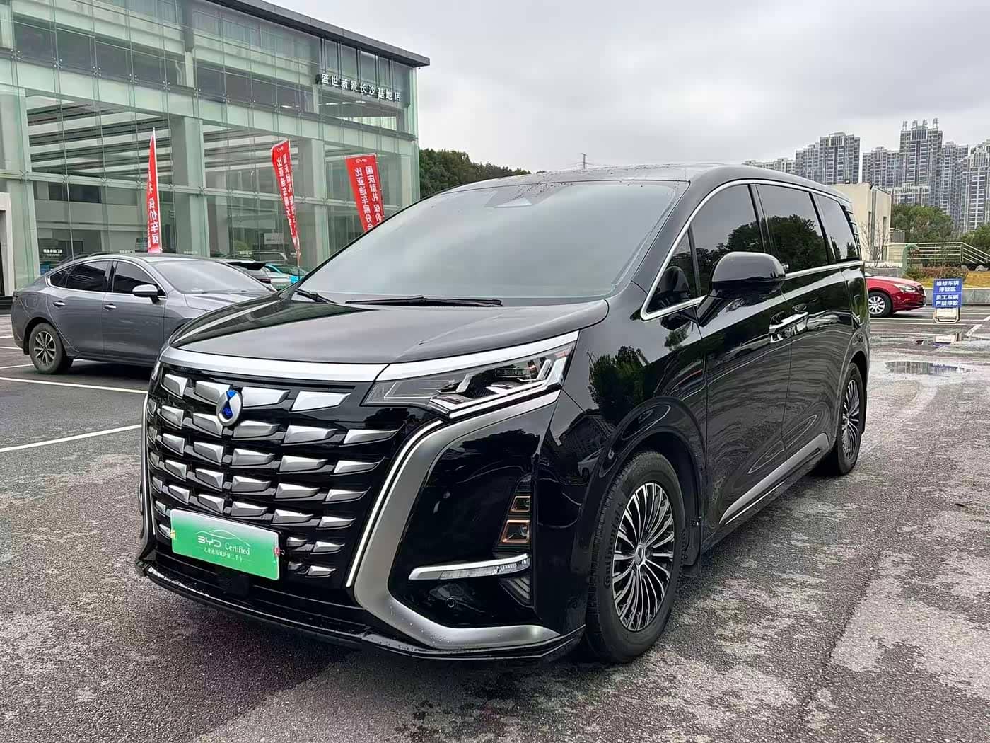 Denza D9