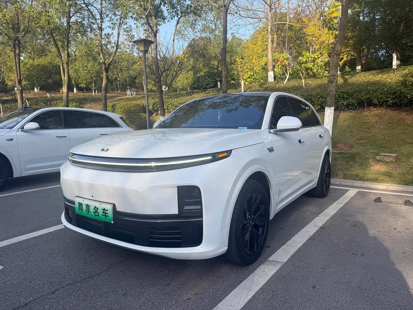 Li Auto L7