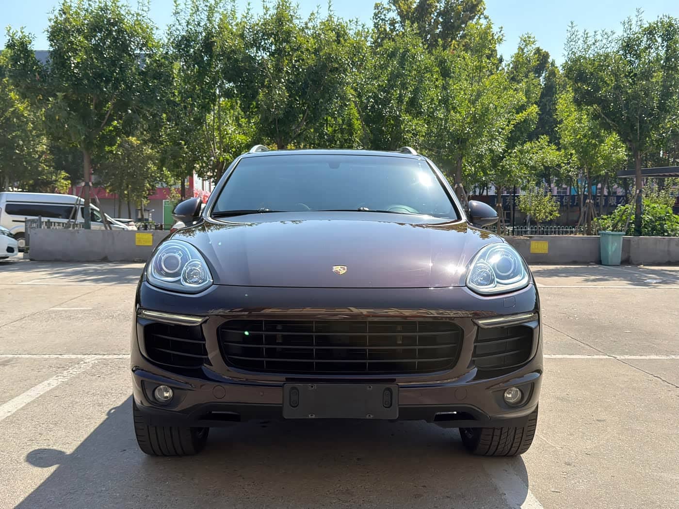 Porsche Cayenne New Energy