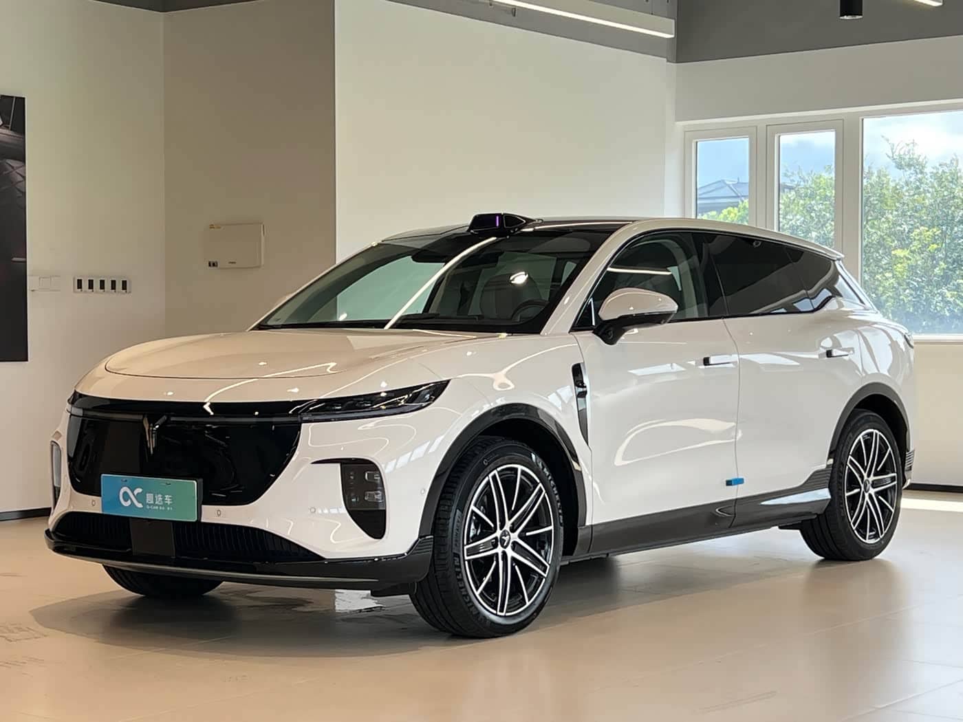 Voyah Auto Voyah Zhiyin