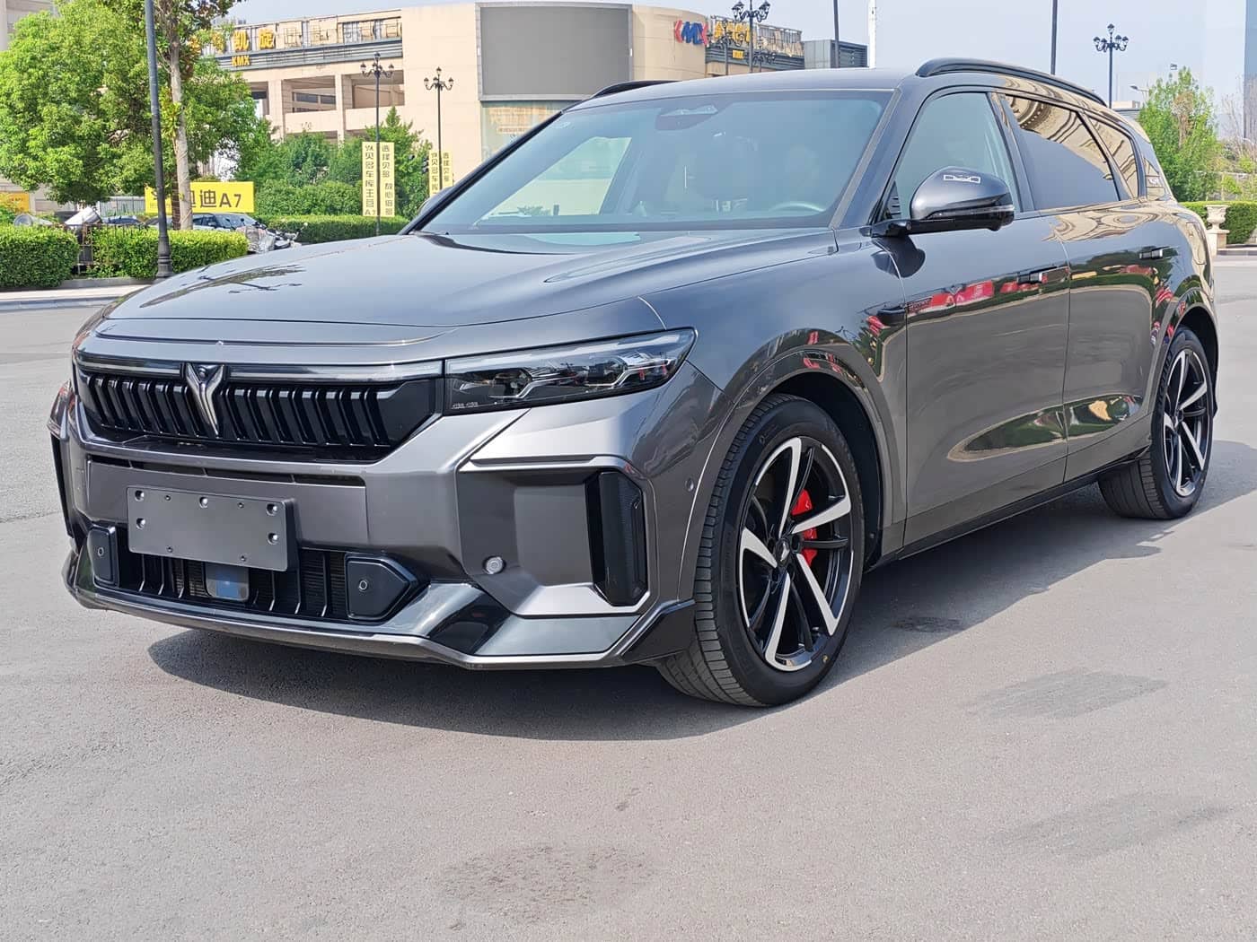 Voyah Auto VOYAH FREE