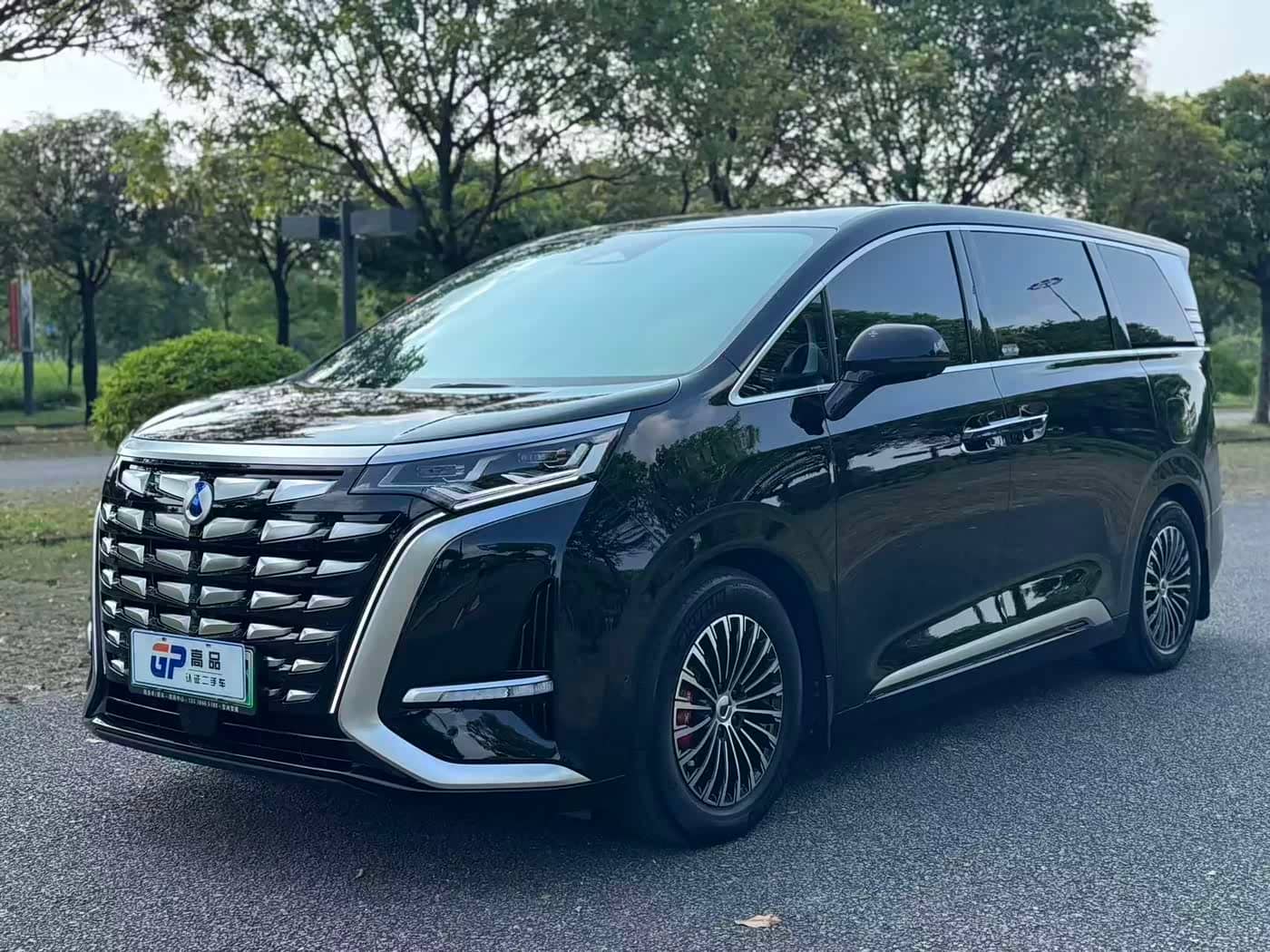 Denza D9