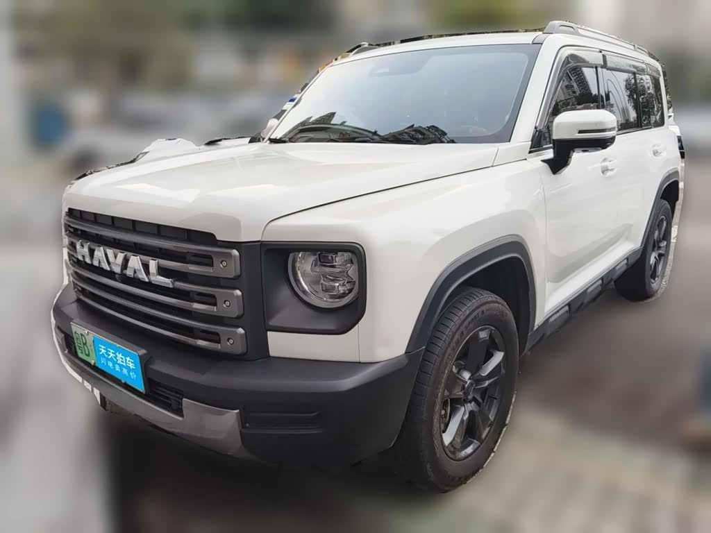 Haval Meng Long NEV